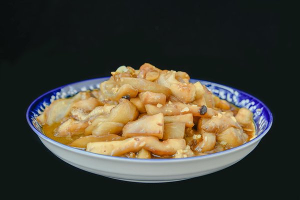 Designing an Ideal Nutritional Plan for Your Diabetic Elderly Cat: An In-Depth Manual