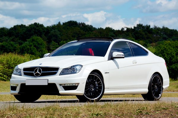 Top Strategies for Stress-Free Claw Care in Anxious Guinea Pigs