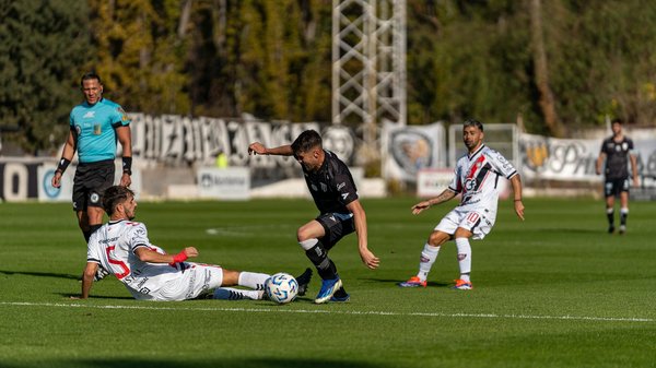Seamless indoor-outdoor living for pets: designing modern homes with effortless access